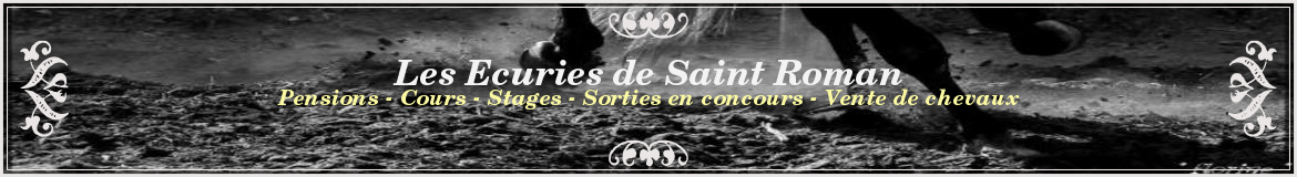 Les Ecuries de Saint Roman